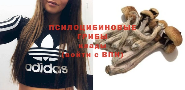 гашик Киренск