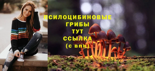 герыч Кинешма