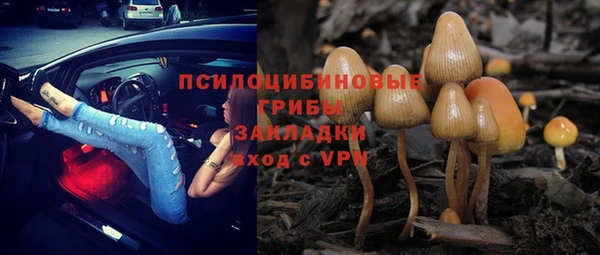 гашик Киренск